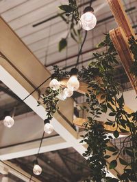 Low angle view of illuminated chandelier at home