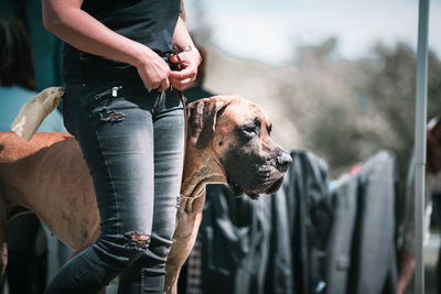 Midsection of person with dog