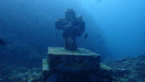 Man standing on rock by sea