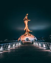 Low angle view of statue against sky at night