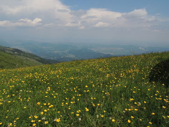 Scenic view of grassy field against cloudy sky