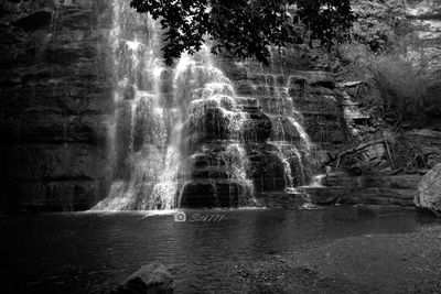 Scenic view of waterfall in forest