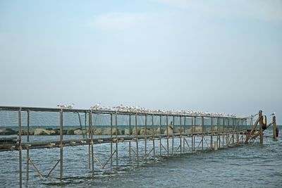 Pier over sea against clear sky