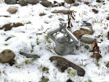 Close-up of snow on field