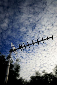 Low angle view of birds