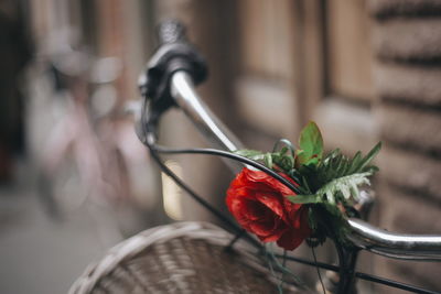 Artificial flower on bicycle