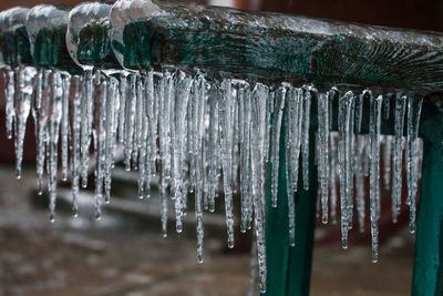 Close-up of icicles hanging on wood