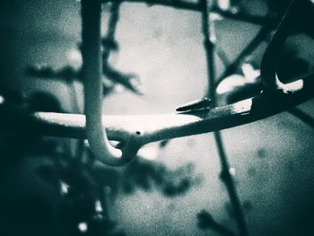 Close-up of shadow on fence