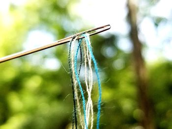 Close-up of threads in needle