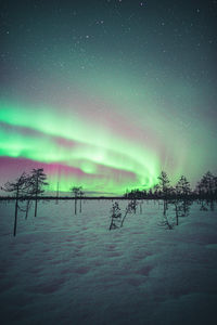 Scenic view of trees against sky at night during winter