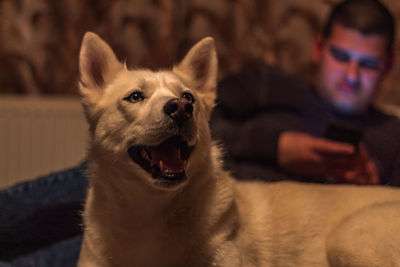 Portrait of man with dog at home