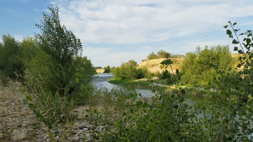 Scenic view of river against sky