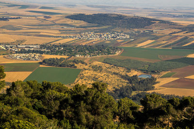 High angle view of agricultural landscape