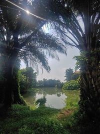 Scenic view of lake by trees against sky