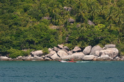 Scenic view of sea and rocks