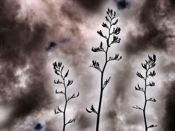 Low angle view of bird against sky