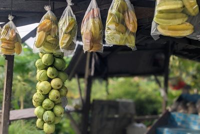 Close-up of vegetables for sale