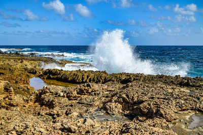 A view of aruba's stony coast and the caribbean sea