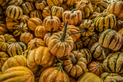 Full frame shot of pumpkins for sale at market stall