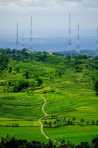 Scenic view of terraced field against sky