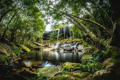 Scenic view of waterfall in forest