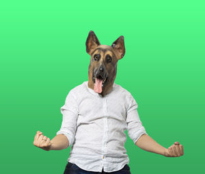Portrait of dog standing against green background
