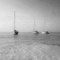 Boat sailing in sea