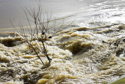 High angle view of sea shore during winter