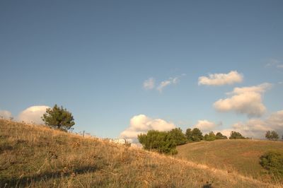 Scenic view of land against sky