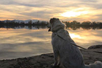 Scenic view of lake against sky during sunset