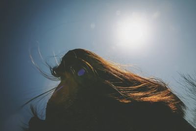 Low angle view of sky