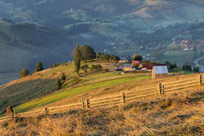 Scenic view of agricultural field