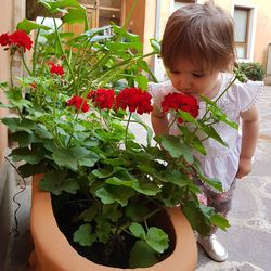 Rear view of girl with potted plants