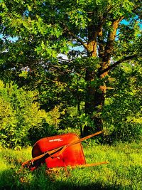 Plants growing on field