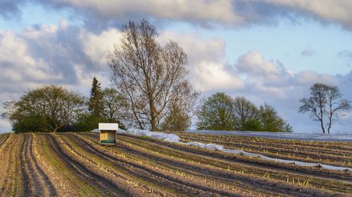 Snow covered field against cloudy sky