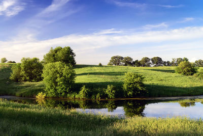 Scenic view of trees on field against sky