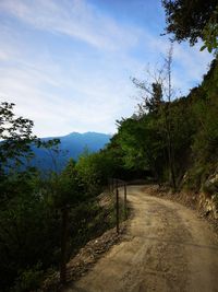 Road amidst trees and plants against sky