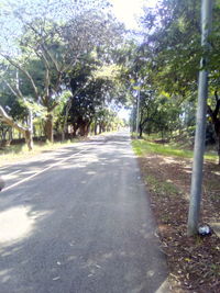 Road amidst trees