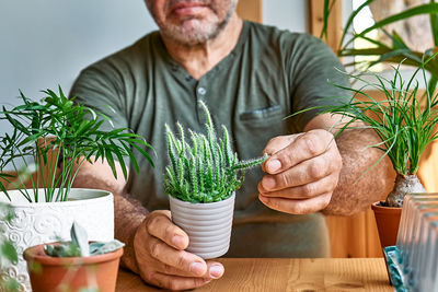 Mature bearded man holding a pot with cactus. taking care of home flowers and succulents. 