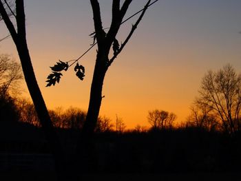 Silhouette of bare tree against sky