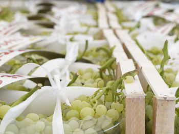Harvested grapes in vineyard