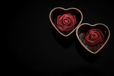 Close-up of red rose on black background