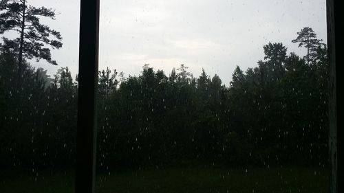 window