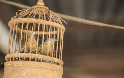 Close-up of damaged old birdcage