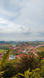 High angle view of flowering plants and buildings against sky