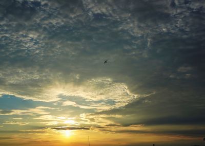 Low angle view of birds flying in sky