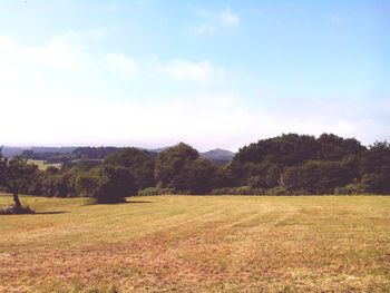 Scenic view of field against sky