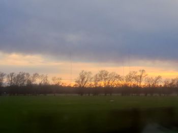 Trees on field against sky during sunset