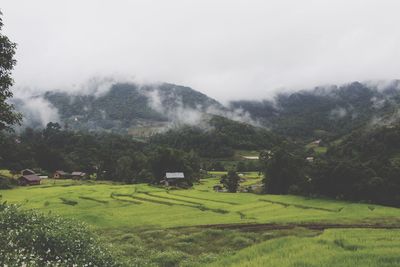 Scenic view of landscape against sky