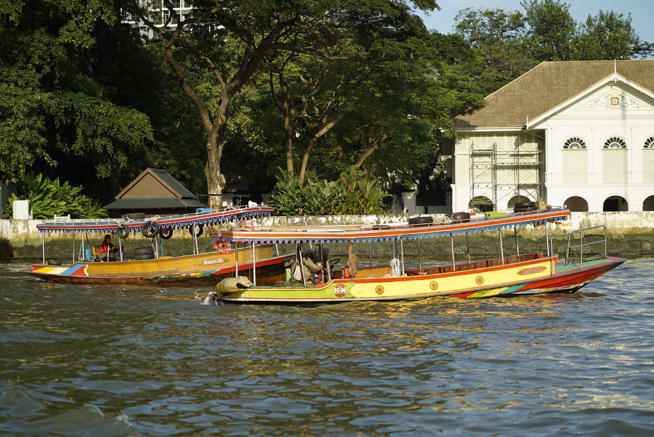 HOUSES BY RIVER AGAINST TREES AND PLANTS